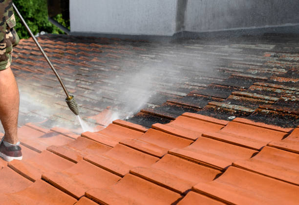 Best Pressure Washing Contractors  in East Bernard, TX
