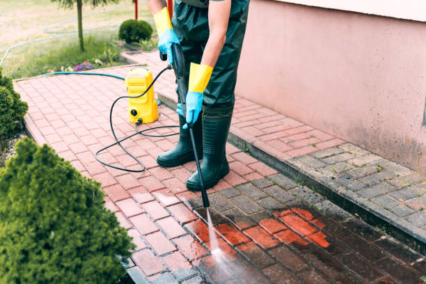 Best Pressure Washing Near Me  in East Bernard, TX